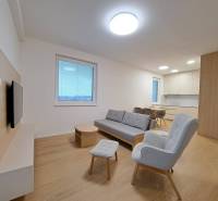 Obývací pokoj v 2-pokojovém bytě s podlahou s dřevěným dekorem a pohodlným sezením.