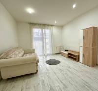 Obývací pokoj v 2-pokojovém bytě s pohovkou, skříňkou a podlahou s dřevěným dekorem.