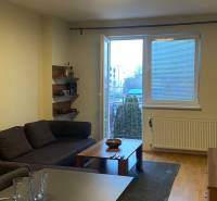 Obývací pokoj v 2-pokojovém bytě s pohovkou, stolem a podlahou s dřevěným dekorem.