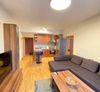 Obývací pokoj v 2pokojovém bytě s podlahou s dřevěným dekorem a pohovkou.