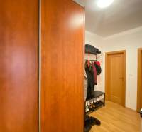 Vstupní chodba 2pokojového bytu s podlahou s dřevěným dekorem a velkou šatní skříní.