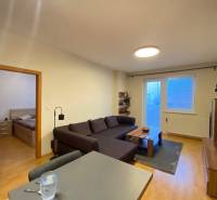 Obývací pokoj v 2-pokojovém bytě s pohovkou a podlahou s dřevěným dekorem.