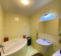 Koupelna v 2-pokojovém bytě s vanou, umyvadlem a zrcadlem na stěně.