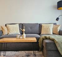 Stylová obývací místnost v 1-pokojovém bytě s šedou sedačkou a dřevěným stolkem.