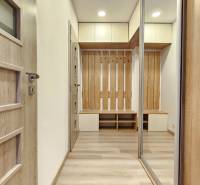 Interiér 1-pokojového bytu s podlahou s dřevěným dekorem, skříněmi a věšákovou stěnou.