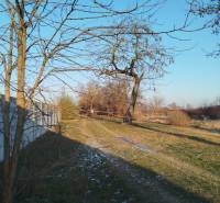 Pozemky na bydlení v Galantě na Hodské ulici, zasněžená krajina se stromy.