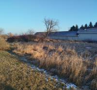 Pozemky pro bydlení na Hodské ulici v Galantě s travnatým porostem a několika keři.