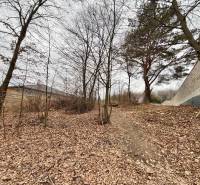 Pozemek na bydlení ve Velké Bytči je pokrytý listím a obklopený stromy.