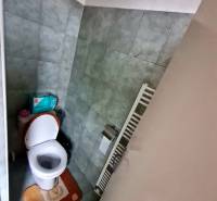 Koupelna s toaletou v rodinném domě, obložená zelenkavými dlaždicemi.