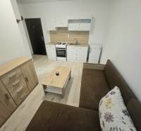 Kuchyňská část 1pokojového bytu s podlahou s dřevěným dekorem a pohovkou.