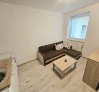 Obývací pokoj v 1-pokojovém bytě s pohovkou, kuchyňským koutem a podlahou s dřevěným dekorem.