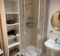 Koupelna v 2-pokojovém bytě s rohovým sprchovým koutem, umyvadlem a bílou poličkou.
