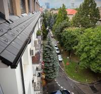 Pohled z výšky na zeleň a zaparkovaná auta v Bratislavě - Ružinově na Budovatelské ulici.