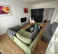 Obývací pokoj v 2-pokojovém bytě s pohovkou, televizí a obrazy na stěnách.