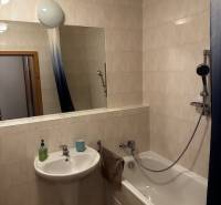 Koupelna v 1-pokojovém bytě s vanou, umyvadlem a zrcadlem, světlé obklady.