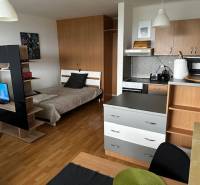 Interiér 1-pokojového bytu s podlahou s dřevěným dekorem, postelí a televizí.