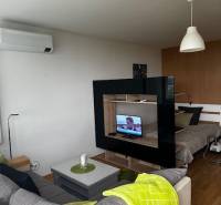 Obývací pokoj v 1-pokojovém bytě s podlahou s dřevěným dekorem a oddělenou ložnicí.