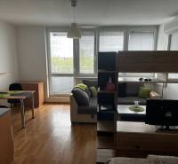 Obývací pokoj v 1-pokojovém bytě s podlahou s dřevěným dekorem a zařízením.