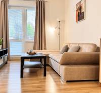 Obývací pokoj v 2pokojovém bytě s pohovkou, podlahou s dřevěným dekorem a televizorem.