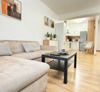 Obývací pokoj s pohovkou, podlahou s dřevěným dekorem a kuchyní v 2pokojovém bytě.