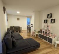 Obývací pokoj v 2-pokojovém bytě s podlahou s dřevěným dekorem a dětským koutkem.