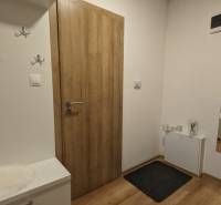 Vstupní chodba v 2-pokojovém bytě, podlaha s dřevěným dekorem a praktické věšáky.