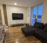 Obývací pokoj v 2-pokojovém bytě s tmavou sedačkou a podlahou s dřevěným dekorem.