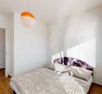 Ložnice dvoupokojového bytu s postelí a podlahou s dřevěným dekorem.