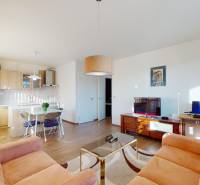 Obývací pokoj s kuchyňským koutem, pohovkami a podlahou s dřevěným dekorem ve 2pokojovém bytě.