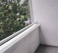 Balkon se stromy a sítí proti ptákům ve 4pokojovém bytě na Janotově ulici.