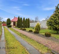 Přístupová cesta a zahrada v okolí rodinného domu v Černém Brodě s jehličnany.