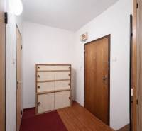 Chodba v 1-pokojovém bytě s botníkem, červeným kobercem a podlahou s dřevěným dekorem.