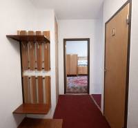 Chodba 1-pokojového bytu s věšákovou stěnou a pohledem do pokoje s kobercem.