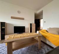 Obývací pokoj 3pokojového bytu s podlahou s dřevěným dekorem, sedačkou a TV stolkem.