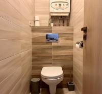 Koupelna ve 3-pokojovém bytě s toaletou a podlahou s dřevěným dekorem.
