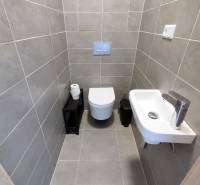 Koupelna s nástěnnou toaletou, umyvadlem a šedými obklady ve 3pokojovém bytě.