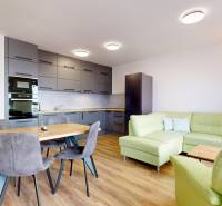 Kuchyně s obývacím pokojem ve 3-pokojovém bytě, zelená sedačka, podlaha s dřevěným dekorem.