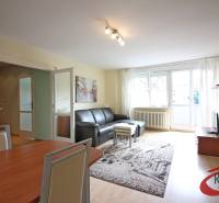 Obývací pokoj ve 3-pokojovém bytě s podlahou s dřevěným dekorem a černou pohovkou.