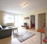 Obývací pokoj 3pokojového bytu s pohovkou, stolkem a televizí na podlaze s dřevěným dekorem.