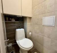 Toaleta s podlahou s dřevěným dekorem v 2pokojovém bytě.