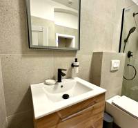 Koupelna v 2pokojovém bytě s umyvadlem, zrcadlem a sprchovým koutem.