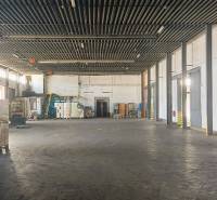 Sklady a haly s paletami a zbožím připraveným k distribuci.