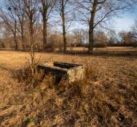 Krajina s betonovou strukturou obklopená stromy ve Stupavě, Stupava, Pozemky - komerční.