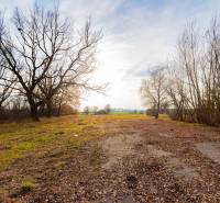 Krajina se stromy ve Stupavě na komerčních pozemcích na Stupavské ulici.