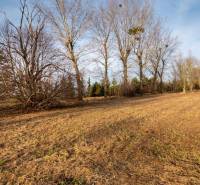 Zimní krajina ve Stupavě na ulici Stupava se stromy na komerčních pozemcích.