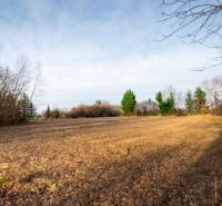 Pozemky - komerční ve Stupavě na ulici Stupava, otevřené prostranství s okolními stromy.