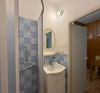 Koupelna v 3-pokojovém bytě s modrými obklady a sprchovým koutem.