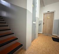 Schodiště a vstupní dveře v 3-pokojovém bytě s podlahou s dřevěným dekorem.