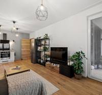 Obývací pokoj v 2-pokojovém bytě s podlahou s dřevěným dekorem, pohovkou a kuchyňským koutem.