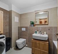 Koupelna se závěsným WC, umyvadlem a pračkou v 2pokojovém bytě.